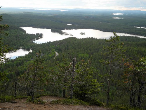 summer lake forest finland landscape geotagged july kuusamo fin 2014 konttainen koillismaa 201407 purnujärvi konttaisjärvi 20140705 geo:lat=6621111698 geo:lon=2921286107
