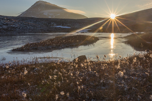 autumn sunset mountain lake ice norway dnt høst tromsø troms cottongrass tromsdalstinden skarvassbu kingdomofnorway