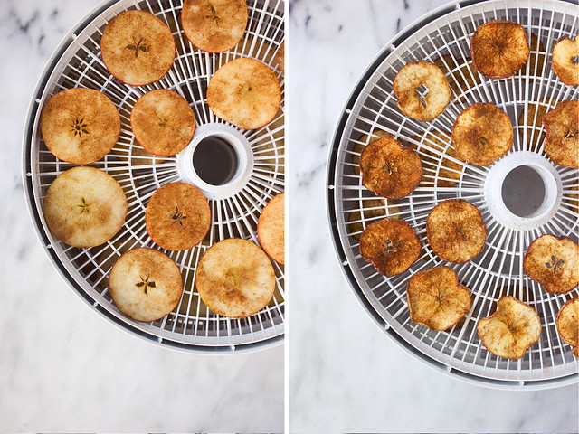 How-to Make Dehydrated Apple Chips