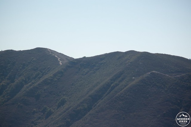 Oats-Peak