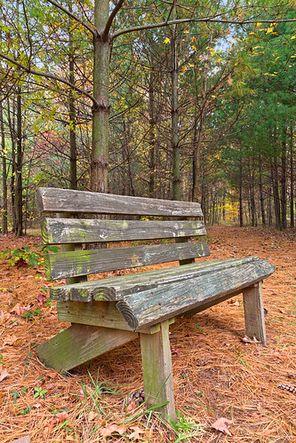 park wood travel blue autumn trees red sky orange usa brown color colour green fall tourism nature colors beautiful beauty leaves yellow closeup pine america forest bench point landscape bay wooden woods scenery colorful colours natural state image path vibrant background object seat branches united north stock scenic picture cyan free maryland scene foliage trail evergreen pines american nicolas raymond states colourful passage chesapeake hdr pathway resource conifer passageway edgemere somadjinn freestockca