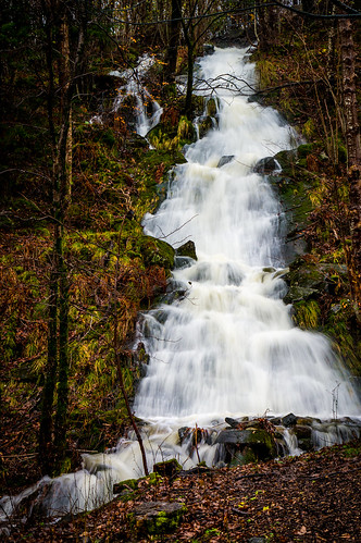 city autumn trees fall water rain norway creek flow norge waterfall norwegian rainy bergen