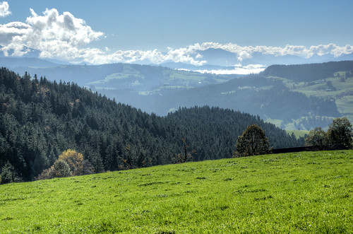 forest schweiz switzerland sony hill meadow wiese bern alpha wald 77 hdr emmental hügel photomatrix eggiwil slta77v sal1650f28