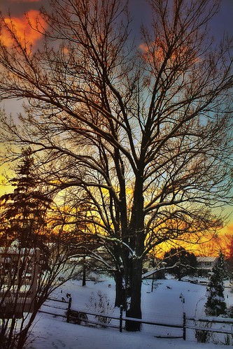 app beautiful handyphoto snapseed 2014 snow beauty jamiesmed dslr mextures iphoneedit nature skies golden sun peaceful glow sunrise vignette emotion orange trees light gold sky hdr tree geotagged geotag weather landscape cincinnati ohio midwest autumn fall canon eos 500d t1i rebel photography