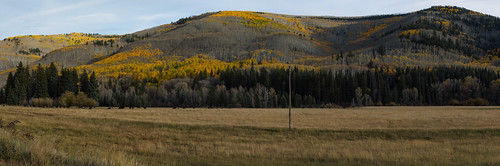 fallfoliage colorado field hills cloudy trees foothills color gold yellow
