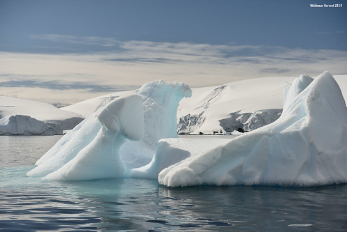blue ice iceberg ocean southern southernocean water snow melchiorislands melchior islands dallmannbay palmerarchipelago antarctica image:rating=5 image:id=192750