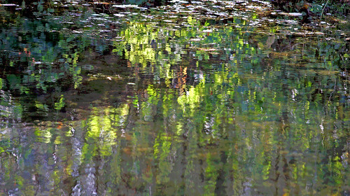france reflection nature canon landscape reserve reflet riflesso aquitaine gironde begles mussonville bordeauxmetropole