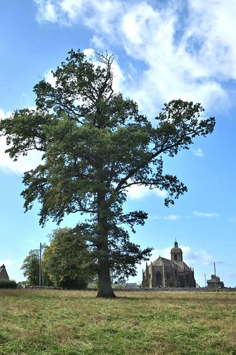 tree church scotland ladykirk kingjamesiv