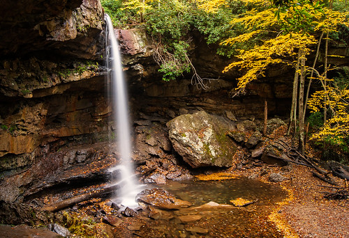 park autumn leaves forest waterfall pennsylvania ohiopyle cucumberfalls laurelhighlands