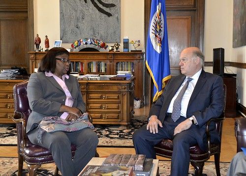 OAS Secretary General Discussed with PAHO Director Preparedness of the Region for the Ebola Virus