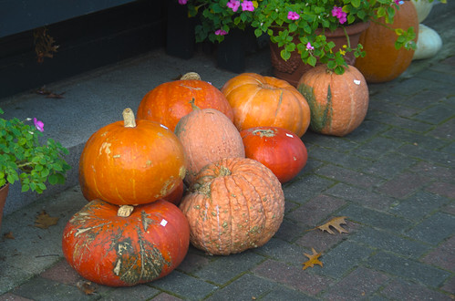 October Gourds