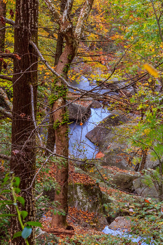 statepark fall nature water beautiful forest outdoors woods unitedstates relaxing northcarolina southmountain connellysprings