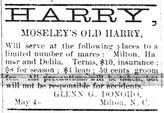 Old Harry at Stud, The Milton Gazette (4 May 1893)