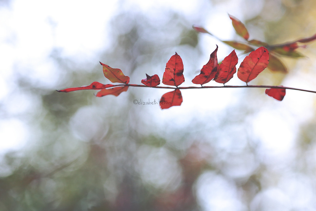 blog2