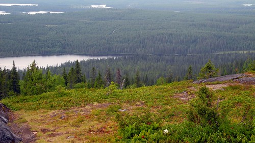 summer lake forest finland landscape geotagged ks july kuusamo fin 2014 iivaara koillismaa 201407 20140715 geo:lat=6580161492 geo:lon=2967652508