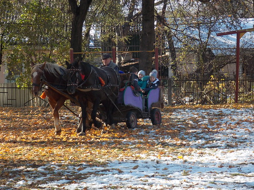 катання на возі, запряженому кіньми (28.10.2014)