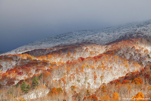 autumn trees winter snow color fall northcarolina western appalachian bluff wnc roanmountain bakersville changingseasons forkmountain roanhighlands