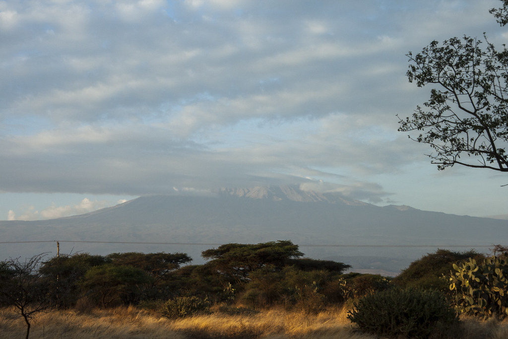 AMBOSELI II - MEMORIAS DE KENIA 14 días de Safari (18)
