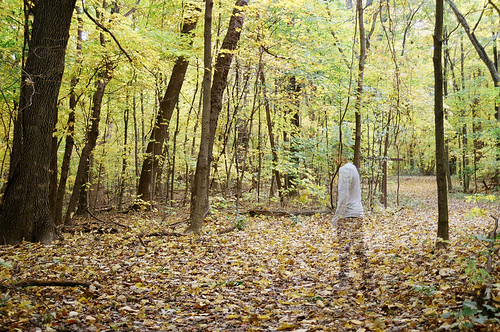 autumn trees leaves standing forest woods doubleexposure 35mmfilm autumncolor canonfilmcamera lookingbehind canonrebeleosii hollisparkdistrict reedcitylake