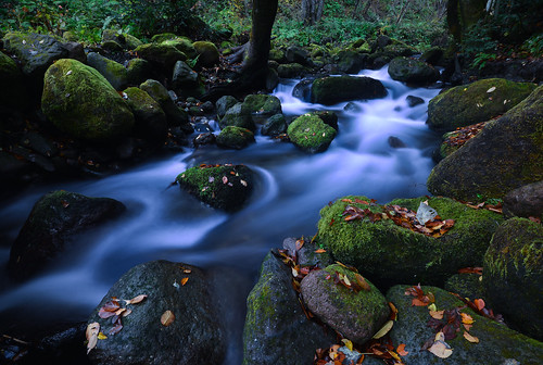 longexposure autumn motion nature river nikon nano tottori daisen d600 1635mm