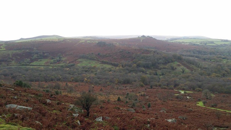 Looking back to Greator Rocks and Hound Tor