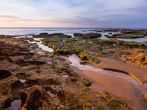 ocean november seascape beach sunrise landscape australia olympus victoria torquay mft 12014 1240mm microfourthirds omdem5