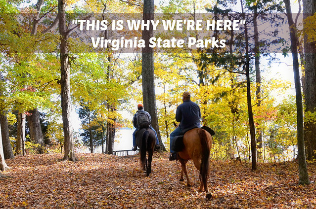 Equestrian campground makes Staunton River State Park a horse lovers dream park