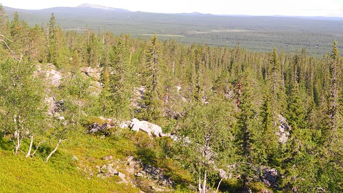 summer sol finland landscape geotagged nationalpark july lapland fin lappi 2014 pyhätunturi pelkosenniemi 201407 pyhäluostonationalpark 20140725 kuorinkiharju geo:lat=6701946112 geo:lon=2715013503
