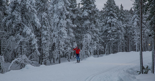 winter finland lapland lappi kaamos