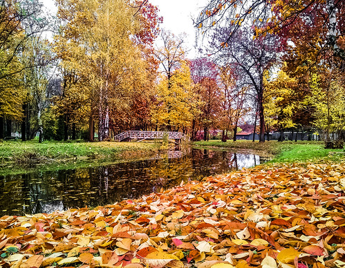 park bridge autumn trees fall landscape stream autumnleaves autumncolors foliage macedonia falltime skopje