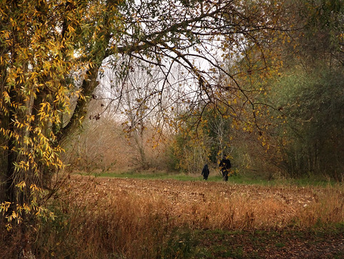 autumn france fall landscape walk promenade fatherandson