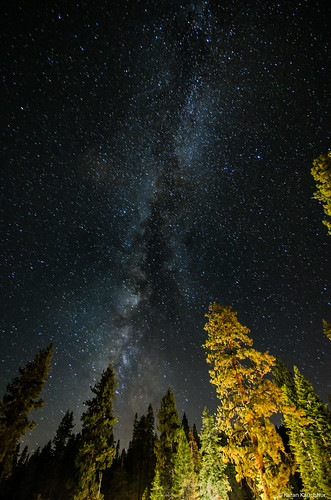Milky Way at Sequoia National Park