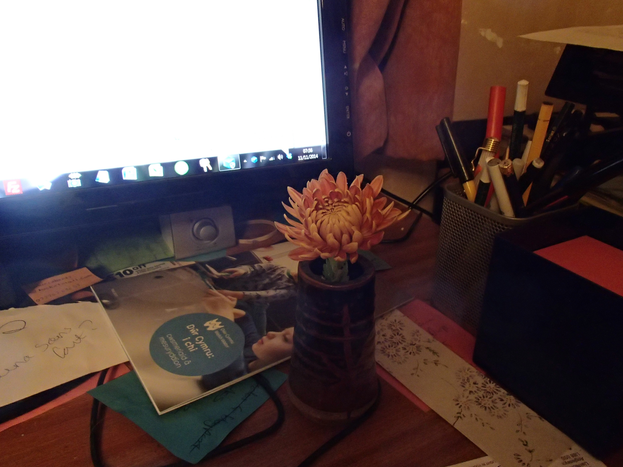 Chrysanthemum 'Orange Allouise' on my desk