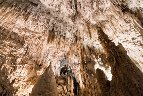 newzealand mystery magic nz limestone waikato northisland waitomo stalactites stalacmites aranuicave strawformations