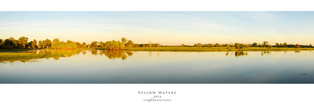 Yellow waters