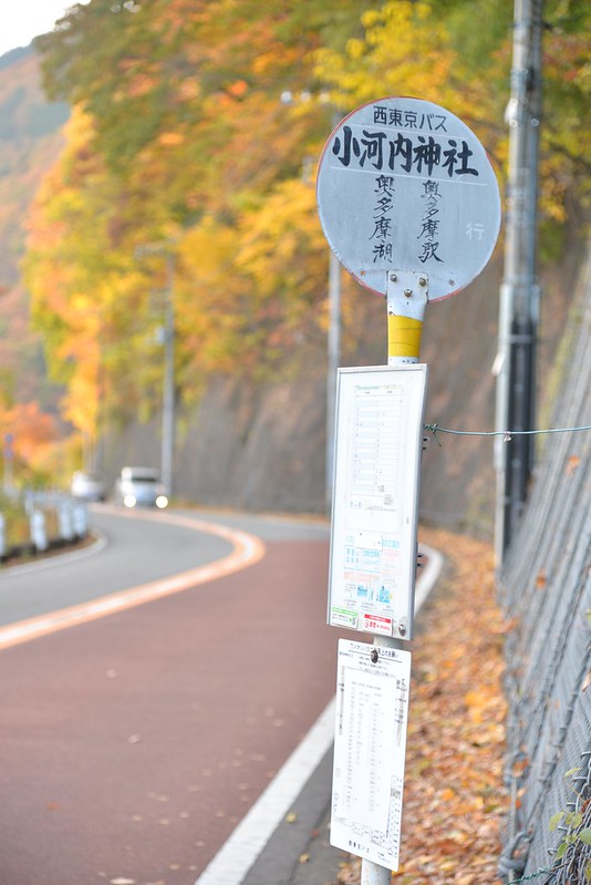 Tokyo reporter 島旅 & 山旅 2016年秋 檜原村＆奥多摩町 2016年11月16日