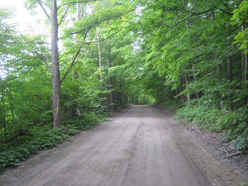 rural forest onroad gravelroad dranoelroad