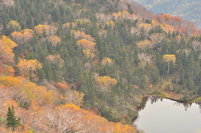 紅葉と青空の秋の長野旅行 白馬・栂池 2014年10月12日