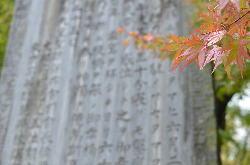 紅葉と青空の秋の長野旅行 松本・駒ヶ根 2014年10月13日