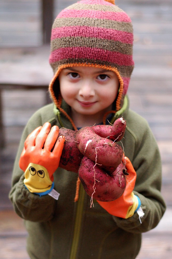 Will holding a just-harvested sweet potato from the garden by Eve Fox, The Garden of Eating, copyright 2014