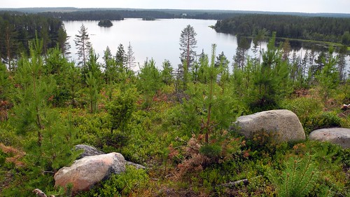 summer lake forest finland landscape geotagged ks july kuusamo fin 2014 koillismaa 201407 20140715 penikkajärvi geo:lat=6577433512 geo:lon=2966385842 ahvenkangas ahvenniemi hiltusentie
