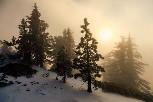sun mist snow storm nature fog clouds landscape hiking socal southerncalifornia hps sangabrielmountains angelesnationalforest wintry angelescresthighway westernunitedstates canonef24105mmf4lisusm mountwilliamson hundredpeakssection 5dm2 5dmii pleasantviewridgewilderness