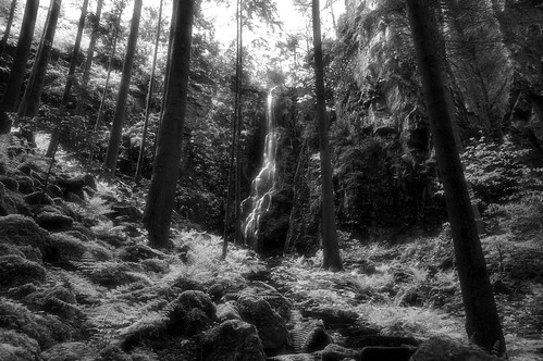 white black forest germany landscape waterfall cascade burgbach