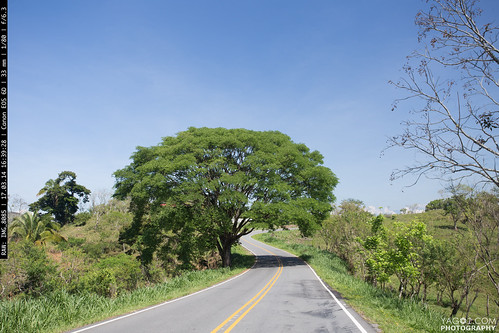 landscape costarica roadtrip