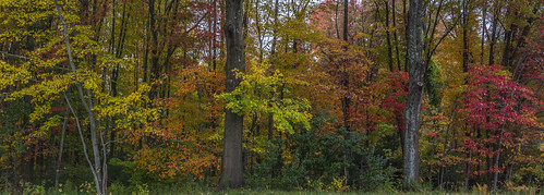 autumn panorama stitch connecticut enfield tamron18270 johnjmurphyiii originalnef