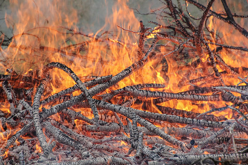 fire bonfire flames wood burn charred logs sticks