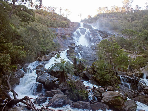 australia tasmania bay fires pyengana columba waterfall tree forest dana iwachow fuji finepix hs20 exr