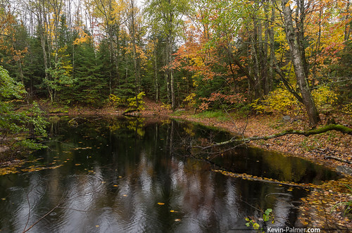 autumn fall wisconsin pond october foliage rainy raindrops boulderjunction kevinpalmer tamron1750mmf28 pentaxk5