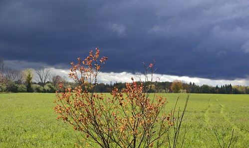autumn ontario clouds nikon darkclouds bobcaygeon d610 birchpoint 24120