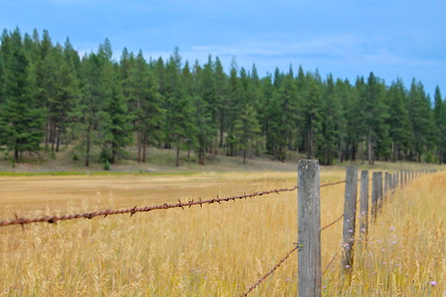 field fence wire montana barbed